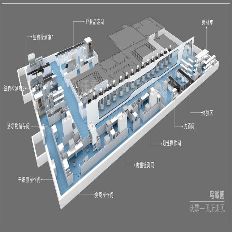 干细胞实验室装修